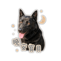 nono趙