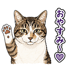 Good night Meow-meow cat.