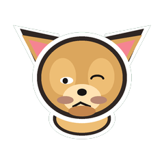 吉娃娃犬 顏微妙 1◎