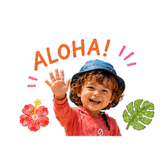 ALOHA BOY Stickers