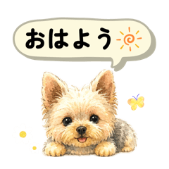 ChocoR_20260514120306