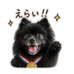 naonao_20260514082859