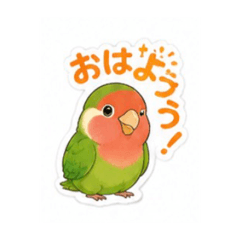 minami_20260514083459