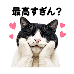 TEN NAGAI_20260514121350