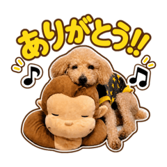 Riku_20260514122416