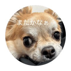 rito_20260514124616