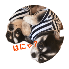aaaaaaaaaa_20260514130236