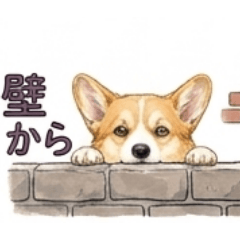CORGISM_ww