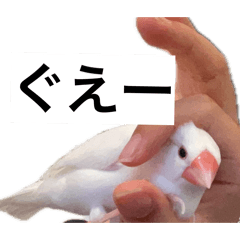 hebi_20260514125718