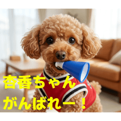 Kanon_20260514130516