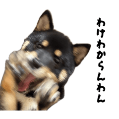 ohamasuguri_20260514125855