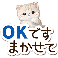 Munchkin tiger cat2
