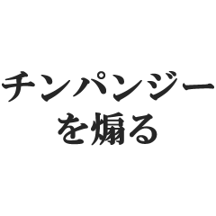 チンパンジーを煽る【猿・ゴリラ、類人猿】