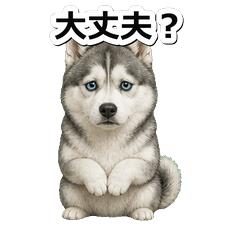 哈士奇犬問候 1◆