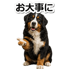 伯恩山犬問候 1★