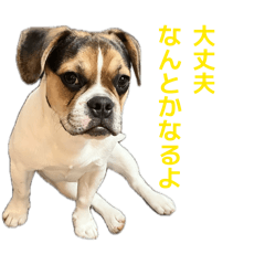 daifuku_20260512172633