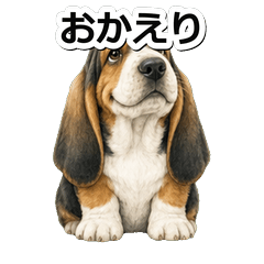 巴吉度獵犬問候 1♫