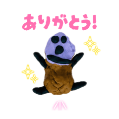 Totty.W_20260512102858