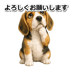 米格魯犬問候 1◎