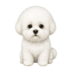 比熊犬問候 1★