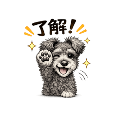 SHOCK_20260512175201