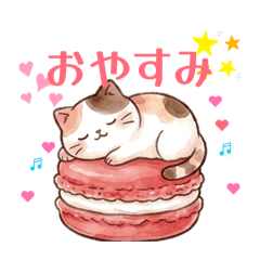 MarucoShinya_20260512173919