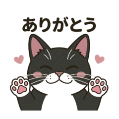 Cute Black-and-White Cat Daily Phrases