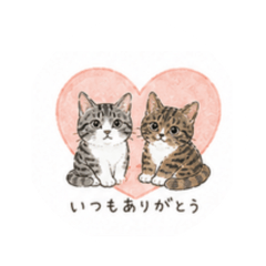 rokuhana_20260512183434