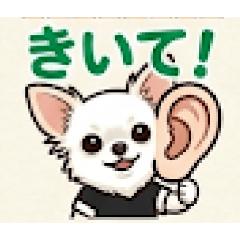 WATARU_20260512175210