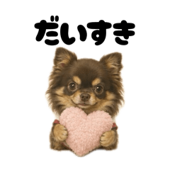Hanni._20260514100308