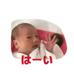 AOKI twins_20260514095831