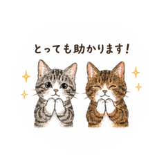 rokuhana_20260512191850