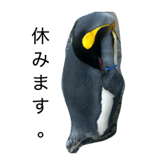hana_20260514100528