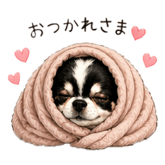 savchan_20260514100700
