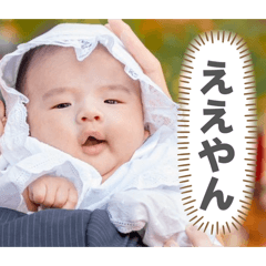 kohaneko_20260512194948