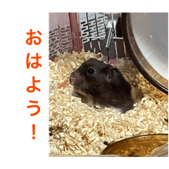 kouab_20260514110608