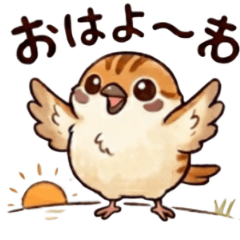 White_eye_20260514110156