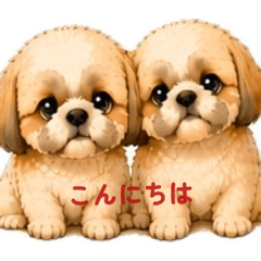 Koti_20260514110452