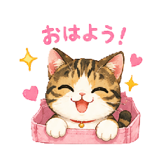 HANAhana cat