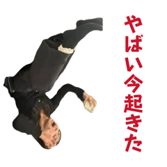 M_20260514130845