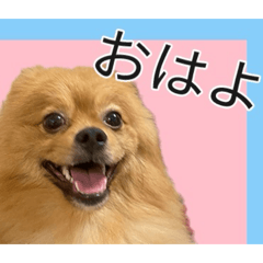 SEVEN_2026051413222