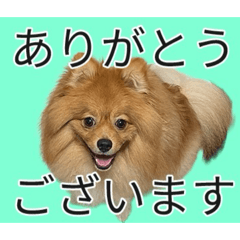 SEVEN_20260514132004