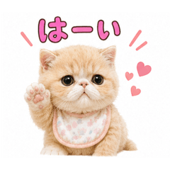 mugitan_20260514132434