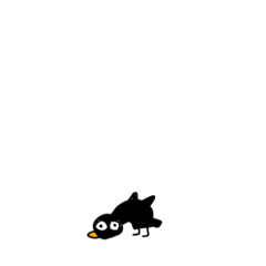 BU_20260514133023