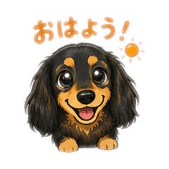 shima002_20260514132020