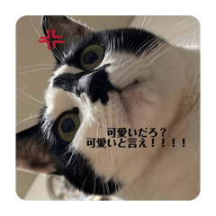 0711_20260514165049