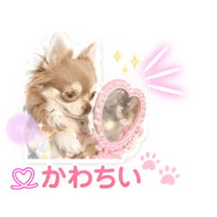 izm@_20260514132443