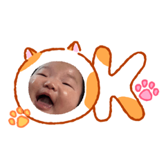 momoko_20260514170440
