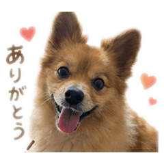 cawaiisatsuma1