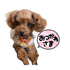ake_20260514165711
